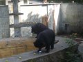 IMGP0818.JPG